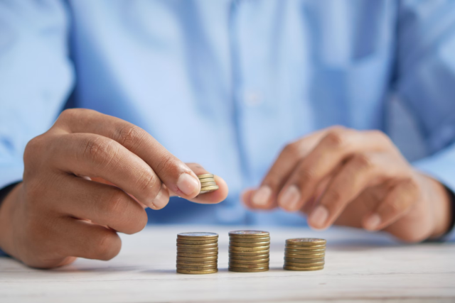 Investment fees 